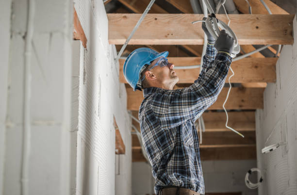 Best Electrician for Home Renovation  in Pleasant View, TN