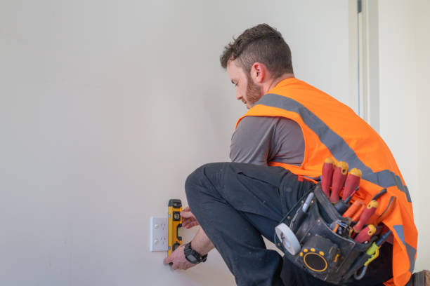 Best Ceiling Fan Installation Electrician  in Pleasant View, TN